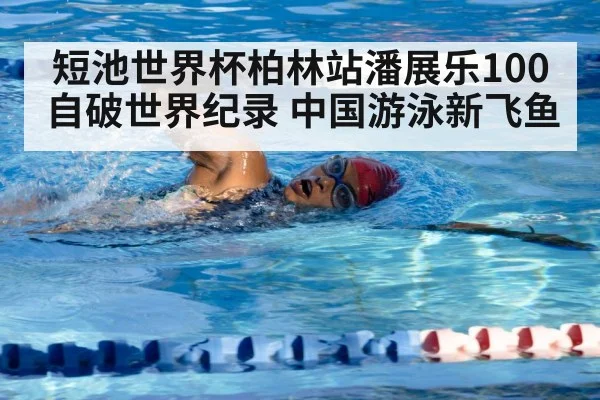 freestyle swimming technique